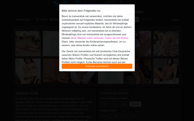 transenklub.net Erfahrungen & Bewertungen Webseite Screenshot