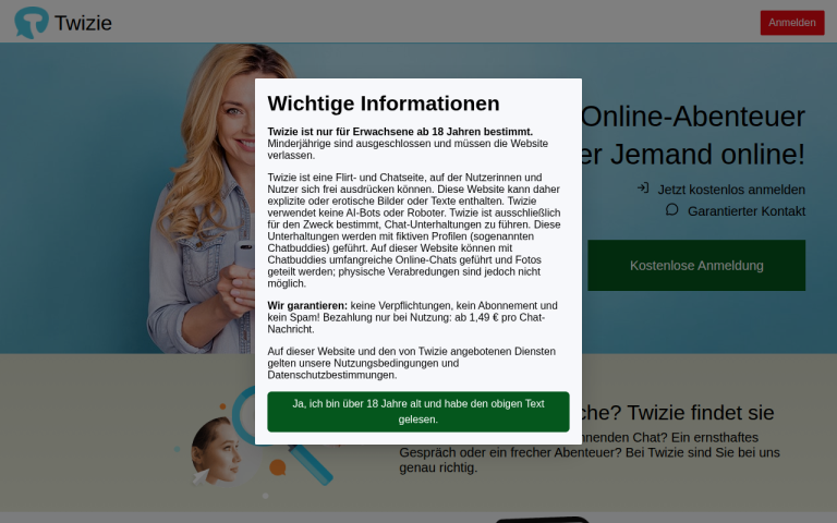 twizie.de Erfahrungen & Bewertungen Webseite Screenshot
