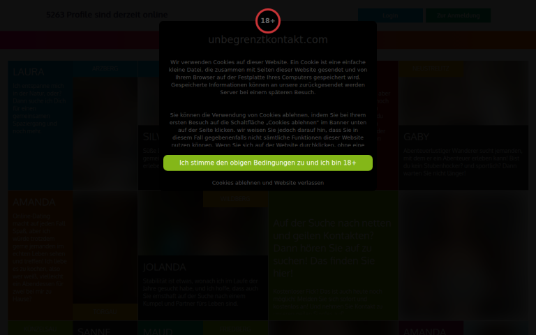 unbegrenztkontakt.com Erfahrungen & Bewertungen Webseite Screenshot