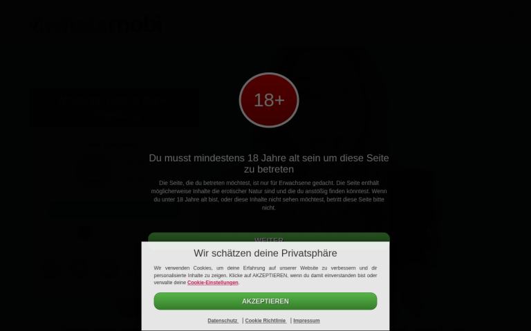 whats.mobi Erfahrungen & Bewertungen Webseite Screenshot